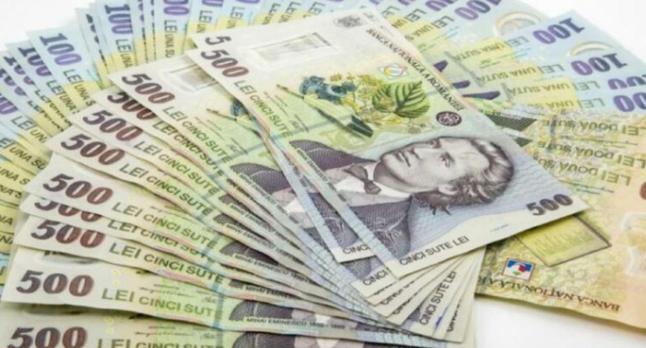 Ajutoarele de stat au atins 13 miliarde euro strainii au luat grosul