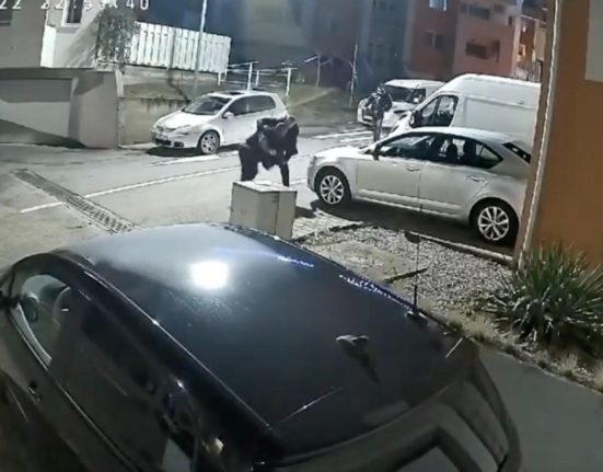 Scene socante pe strada Liderul galeriei U Cluj atacat cu un cutit