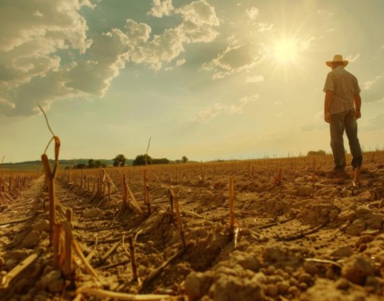 Fermierii avertizeaza un dezastru agricol culturile de toamna in pericol