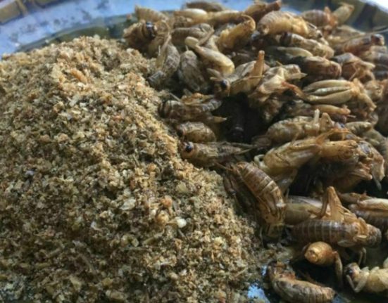 Greierii ultimii pe lista de ingrediente impuse romanilor