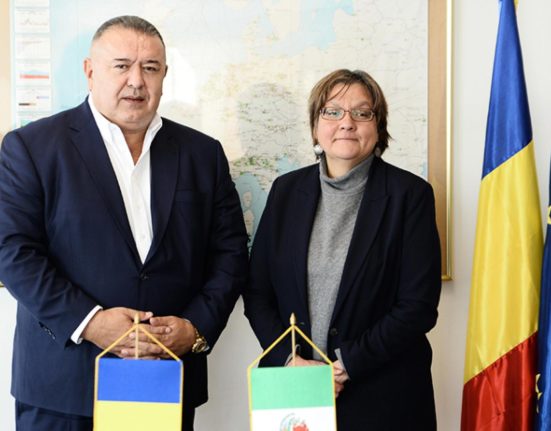 Mihai Daraban Romania trebuie sa dezvolte proiecte economice comune cu statele G20