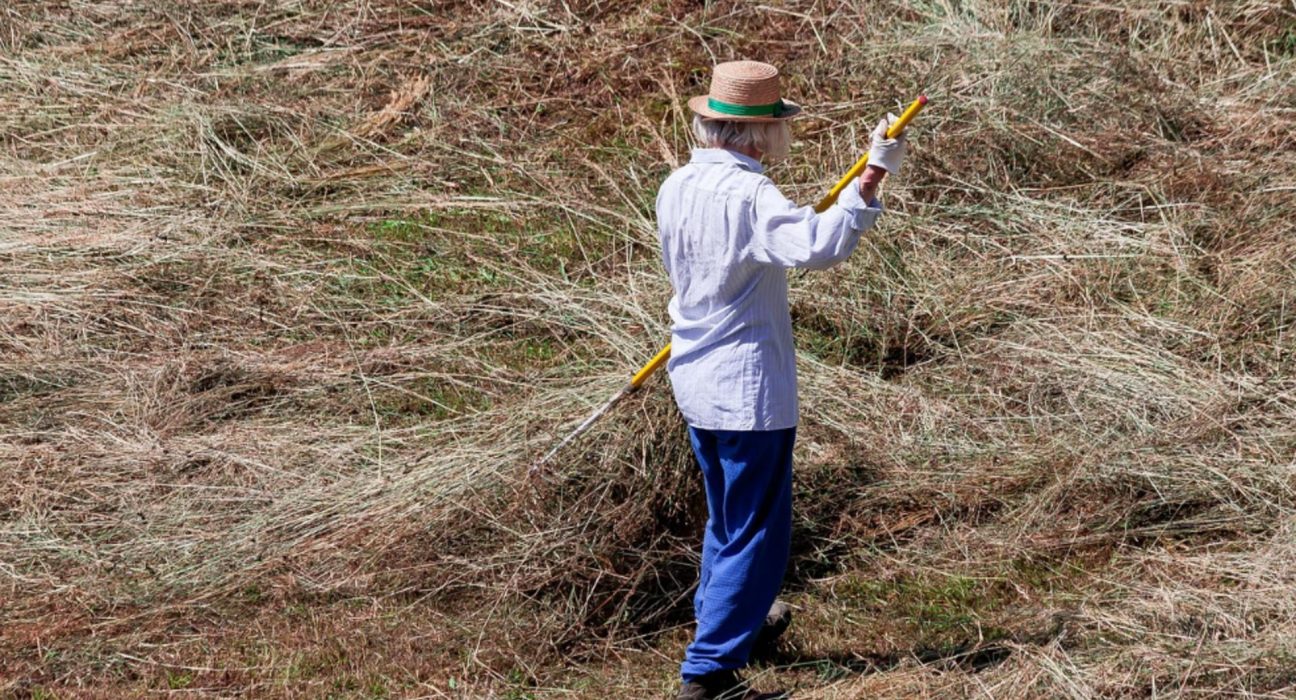 Bani in plus la pensie pentru cei cu teren agricol