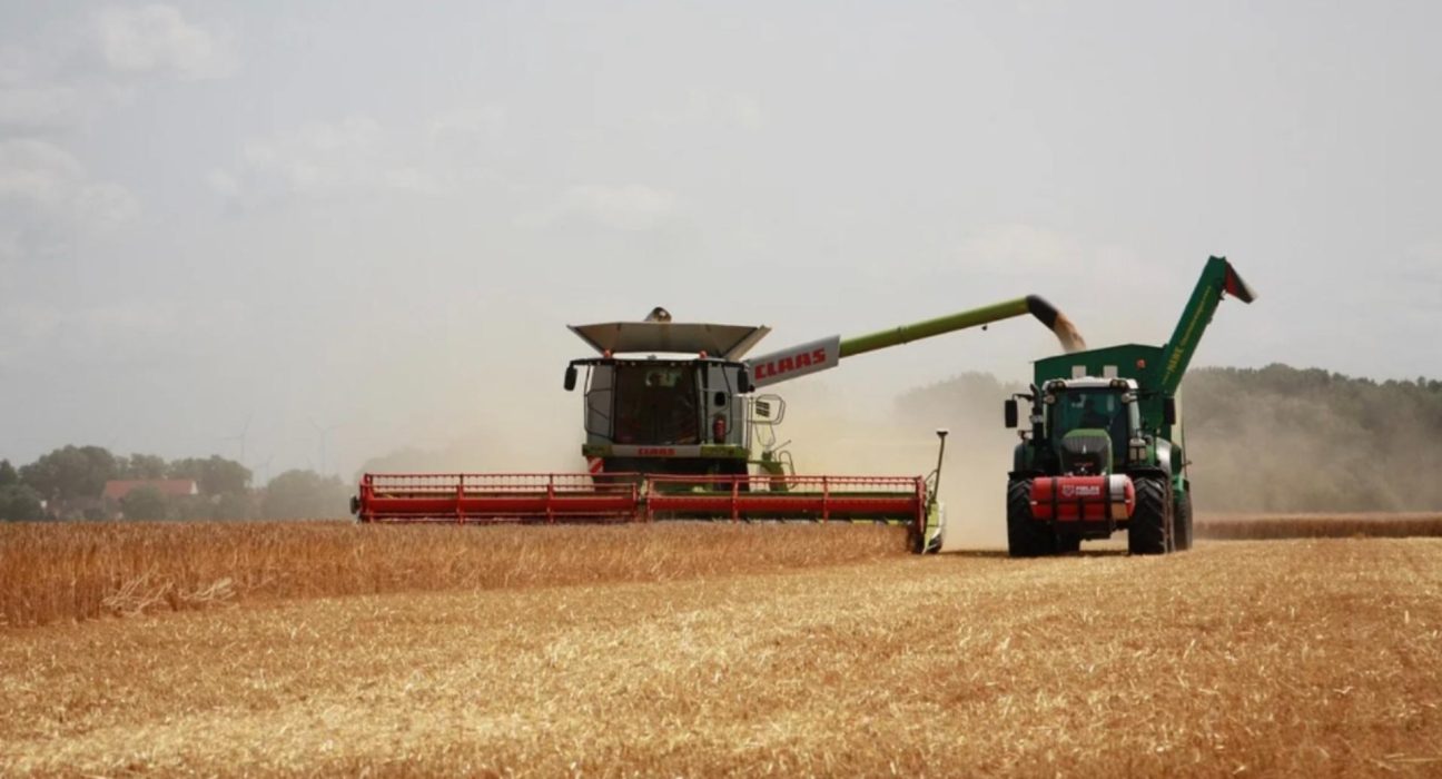 Romania pierde in fata Ungariei la industria alimentara